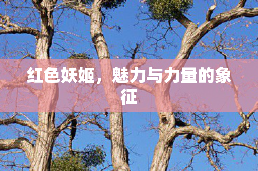 红色妖姬，魅力与力量的象征