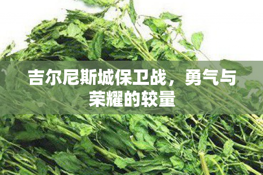 吉尔尼斯城保卫战,勇气与荣耀的较量 吉尔尼斯城保卫战,勇气与荣耀的较量