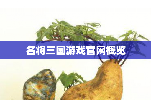 名将三国游戏官网概览