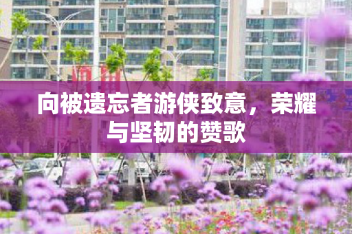 向被遗忘者游侠致意，荣耀与坚韧的赞歌