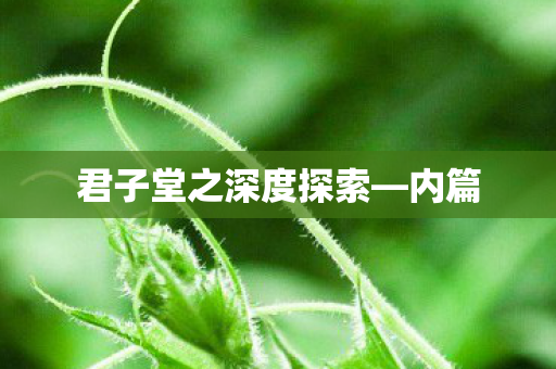 君子堂之深度探索—内篇 君子堂之深度探索—内篇