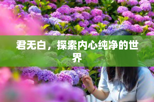 君无白，探索内心纯净的世界