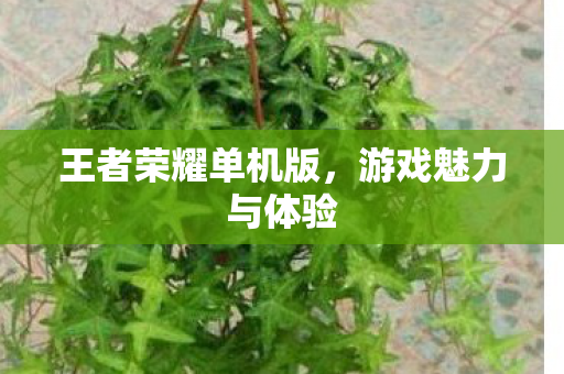 王者荣耀单机版,游戏魅力与体验 王者荣耀单机版,游戏魅力与体验