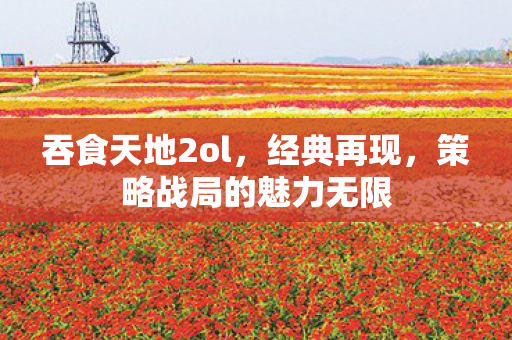 吞食天地2ol，经典再现，策略战局的魅力无限