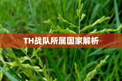 TH战队所属国家解析