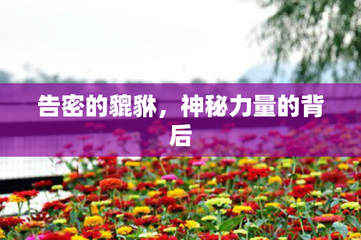 告密的貔貅,神秘力量的背后 告密的貔貅,神秘力量的背后