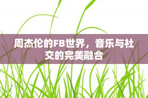 周杰伦的FB世界，音乐与社交的完美融合