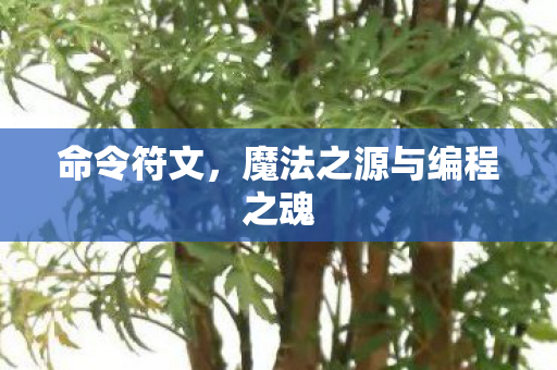 命令符文，魔法之源与编程之魂