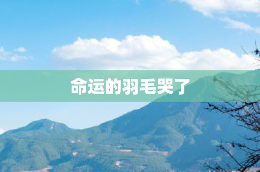 命运的羽毛哭了 命运的羽毛哭了