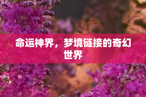命运神界,梦境链接的奇幻世界 命运神界,梦境链接的奇幻世界