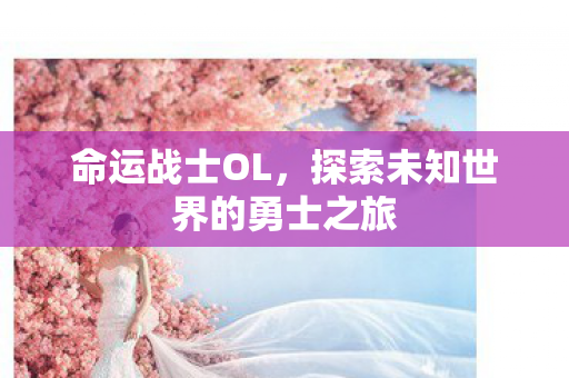 命运战士OL，探索未知世界的勇士之旅
