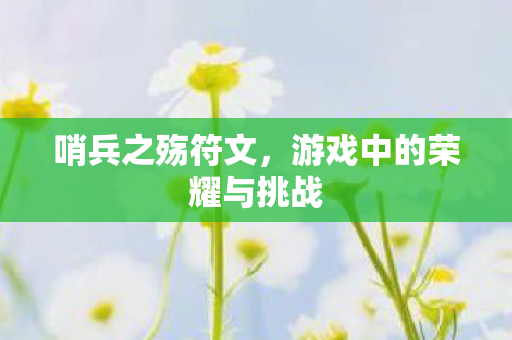 哨兵之殇符文,游戏中的荣耀与挑战 哨兵之殇符文,游戏中的荣耀与挑战