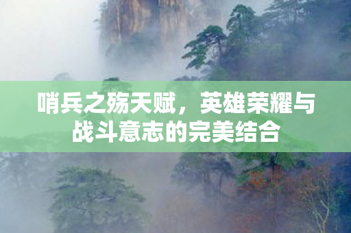 哨兵之殇天赋,英雄荣耀与战斗意志的完美结合 哨兵之殇天赋,英雄荣耀与战斗意志的完美结合