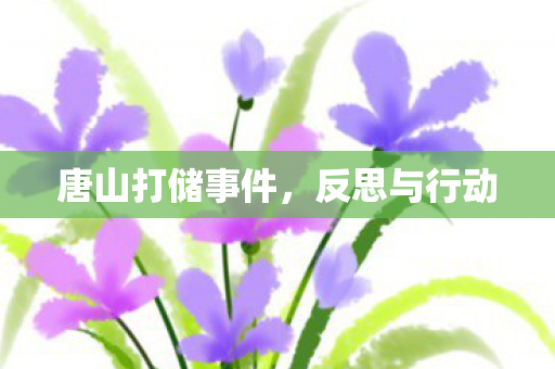 唐山打储事件,反思与行动 唐山打储事件,反思与行动