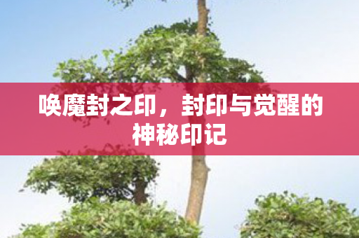 唤魔封之印,封印与觉醒的神秘印记 唤魔封之印,封印与觉醒的神秘印记
