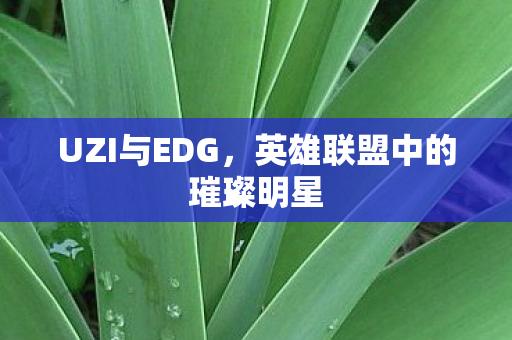 UZI与EDG，英雄联盟中的璀璨明星