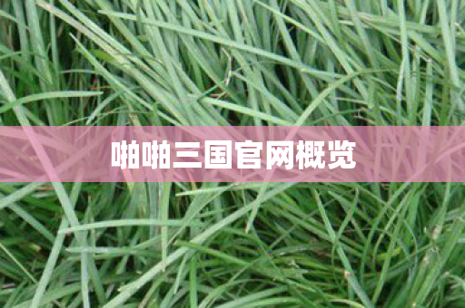 啪啪三国官网概览 啪啪三国官网概览