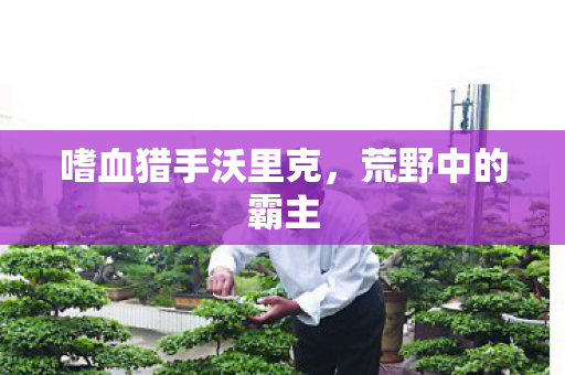 嗜血猎手沃里克，荒野中的霸主