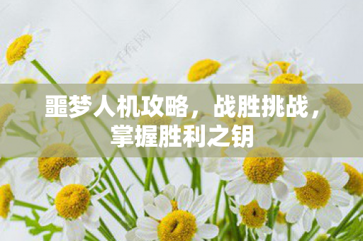 噩梦人机攻略,战胜挑战,掌握胜利之钥 噩梦人机攻略,战胜挑战,掌握胜利之钥