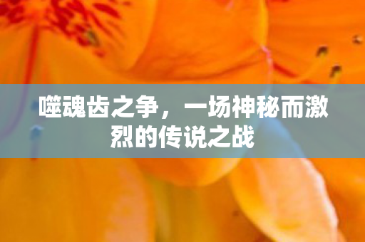 噬魂齿之争，一场神秘而激烈的传说之战