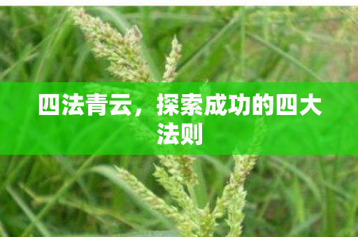 四法青云,探索成功的四大法则 四法青云,探索成功的四大法则