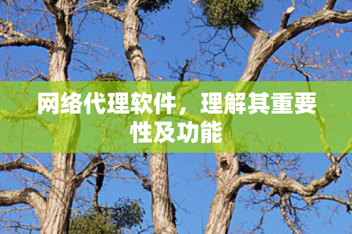 网络代理软件，理解其重要性及功能