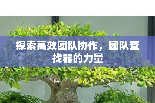 探索高效团队协作,团队查找器的力量 探索高效团队协作,团队查找器的力量