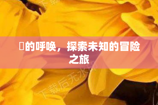 囧的呼唤,探索未知的冒险之旅 囧的呼唤,探索未知的冒险之旅