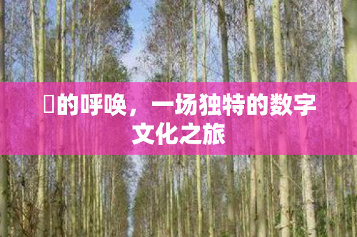 囧的呼唤，一场独特的数字文化之旅