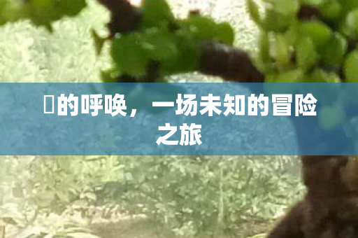 囧的呼唤，一场未知的冒险之旅