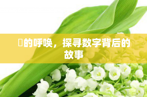 囧的呼唤,探寻数字背后的故事 囧的呼唤,探寻数字背后的故事