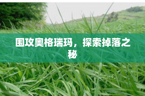 围攻奥格瑞玛,探索掉落之秘 围攻奥格瑞玛,探索掉落之秘