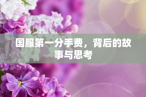 国服第一分手费，背后的故事与思考
