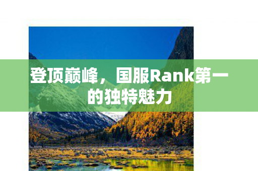 登顶巅峰，国服Rank第一的独特魅力