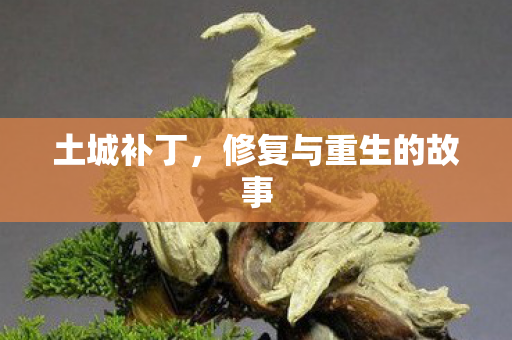 土城补丁,修复与重生的故事 土城补丁,修复与重生的故事