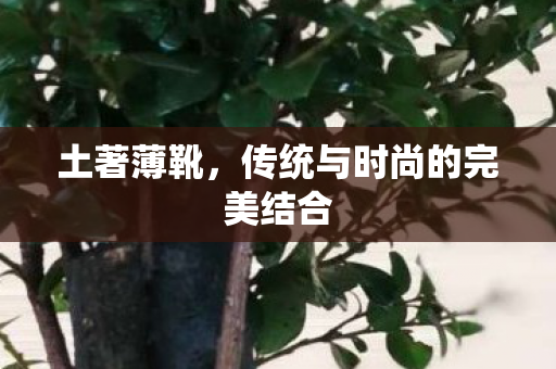 土著薄靴，传统与时尚的完美结合