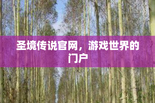 圣境传说官网，游戏世界的门户