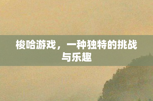 梭哈游戏，一种独特的挑战与乐趣