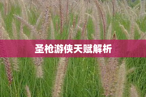 圣枪游侠天赋解析 圣枪游侠天赋解析