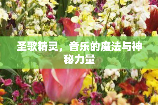 圣歌精灵,音乐的魔法与神秘力量 圣歌精灵,音乐的魔法与神秘力量