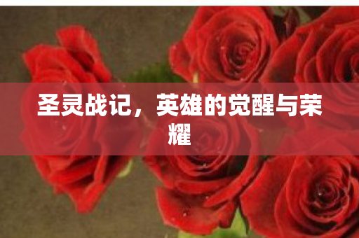 圣灵战记，英雄的觉醒与荣耀