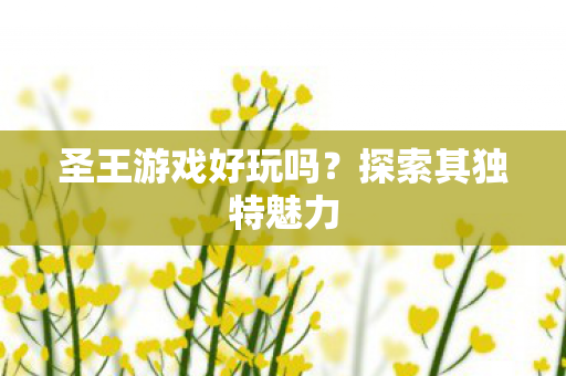圣王游戏好玩吗?探索其独特魅力 圣王游戏好玩吗?探索其独特魅力