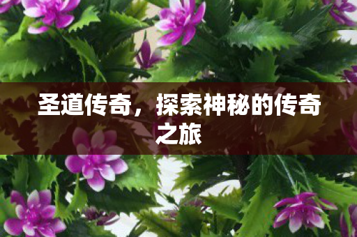 圣道传奇，探索神秘的传奇之旅