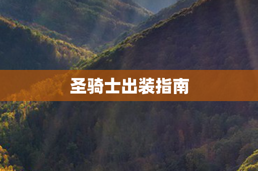 圣骑士出装指南 圣骑士出装指南