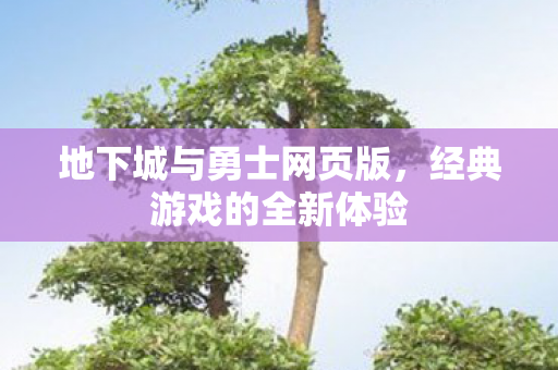 地下城与勇士网页版,经典游戏的全新体验 地下城与勇士网页版,经典游戏的全新体验
