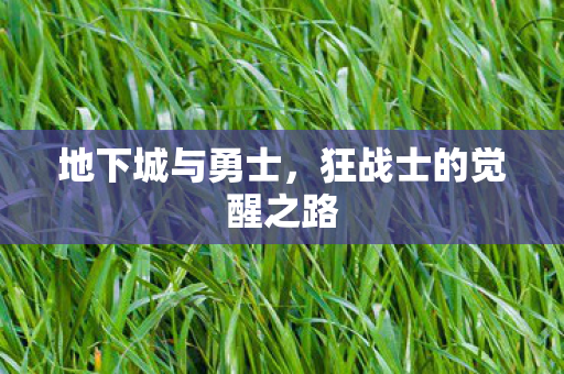 地下城与勇士,狂战士的觉醒之路 地下城与勇士,狂战士的觉醒之路