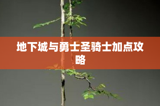 地下城与勇士圣骑士加点攻略 地下城与勇士圣骑士加点攻略