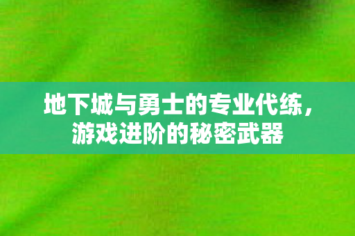 地下城与勇士的专业代练,游戏进阶的秘密武器 地下城与勇士的专业代练,游戏进阶的秘密武器