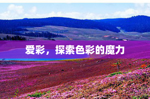 爱彩，探索色彩的魔力