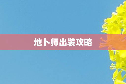 地卜师出装攻略
